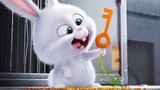 The rabbit boss finally couldn't escape the fate of being a pet! "The Secret Life of Pets" summer cr