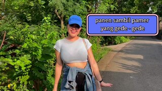 panen sambil pamer #realperson