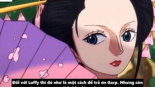 Bí Ẩn Về Cựu Đô Đốc Aokiji - Nguồn Gốc & Sức Mạnh-Tiền Truy Nã-Phân Tích One Pie