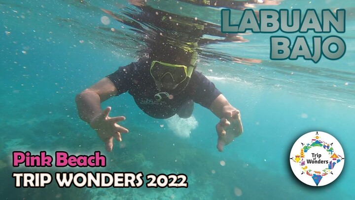 MAU NYELAM DI LAUT HITAM, LAGI PERANG... MENDING NYELAM DI PINK BEACH LABUAN BAJO