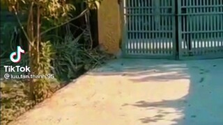 Khi mày đi chúng mừng nhà mày ghét