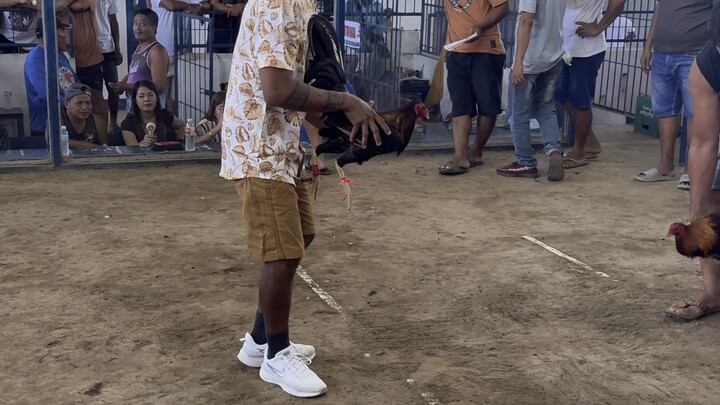 BIEN UNIDO 3wins. 1st fight