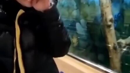 นี่มันสุดยอดไปเลย!