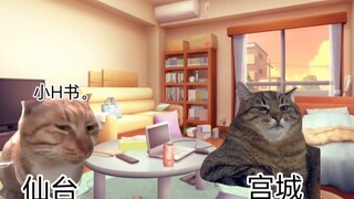 [Mua bạn học một lần một tuần] Câu chuyện meme mèo "Nơi giấc mơ bắt đầu"