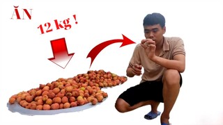 Thử Ăn Hết 12kg Vải ( Challenge to Eat 12kg of Cloth ) QUANG TUẤN