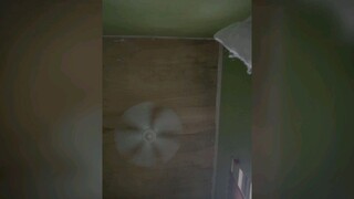 ceiling fan