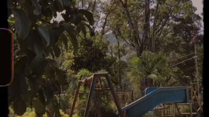 peace of mind💚🍀