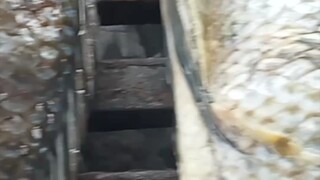 gin nalang ang kulang