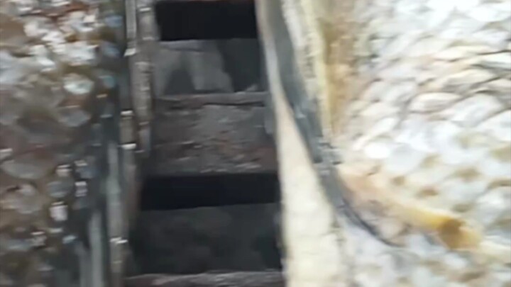 gin nalang ang kulang