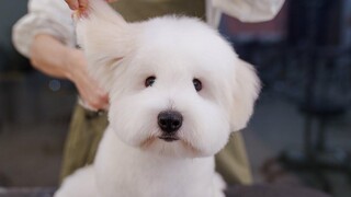 อย่าแกล้งทำเป็นตุ๊กตาสิ!