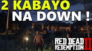 2 DOWN HORSIE ! | RDO RP