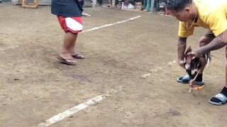 Exam ng nokis ko