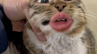 انت تغسل