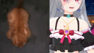 - - - -