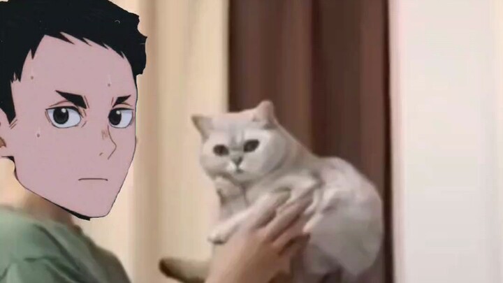 Bokuto mencoba peruntungan