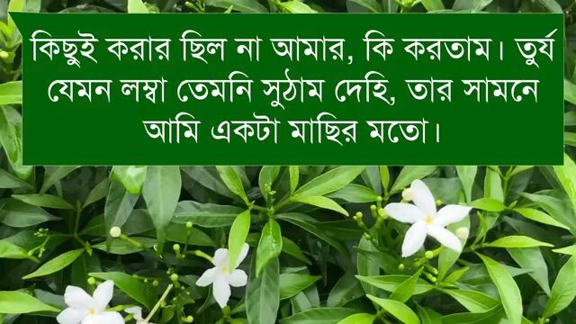 romantic golpo