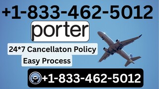 PORTER Airlines™ Customer Service USA: Easy Guide to Connect With a Live Agent