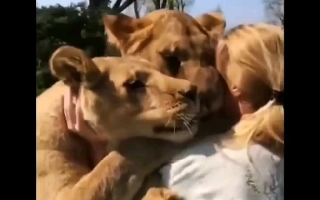 Nhiều năm sau, khoảnh khắc xúc động khi các loài động vật gặp lại chủ nhân của mình! Quả nhiên, chỉ 