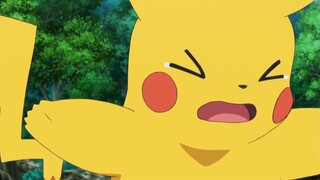 Pokémon có thể nói chuyện? Nó khiến Pikachu và Meowth sợ hãi~