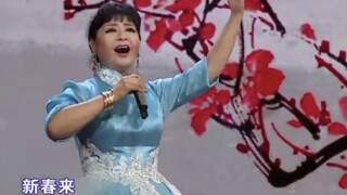 这，才叫红梅赞!!!