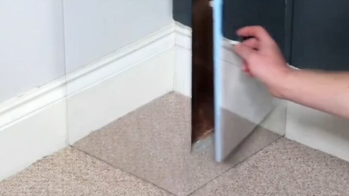 Két sắt tàng hình: Kẻ trộm dù không khóa cũng chẳng nhìn thấy.