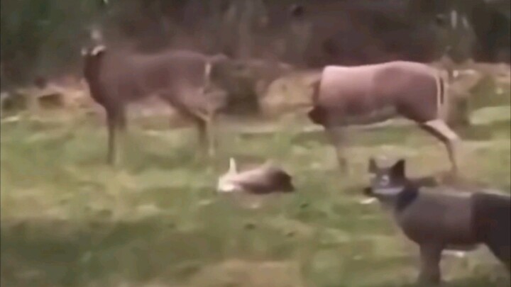 Hari itu dia banyak berpikir.