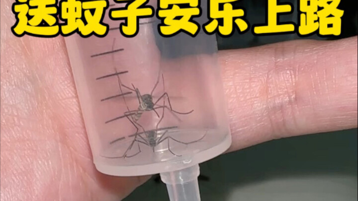 有趣