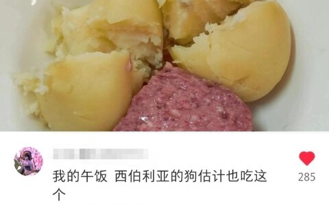 Liu Zi cured her anorexia while abroad.