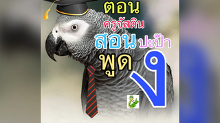 ตอน จัสตินสอนปะป๊าพูด งองู🦜