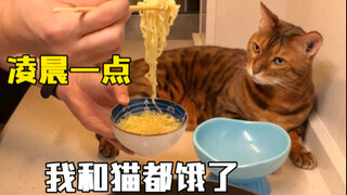 It's one in the morning, and both my cat and I are hungry!