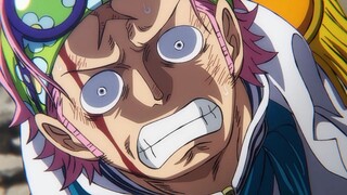 yonko captured one of schibukai warlord