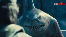 King Shark ราชาฉลามคลั่ง ❗❗ (สปอยหนัง)