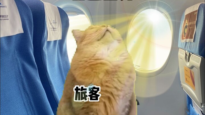 ขอให้ฉันได้อาบแดดสัก 180 วัน