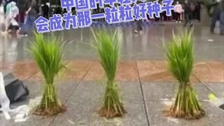 Bạn luôn có thể tin tưởng vào sự dịu dàng và lãng mạn tiềm ẩn trong con người Trung Quốc. Mong rằng 