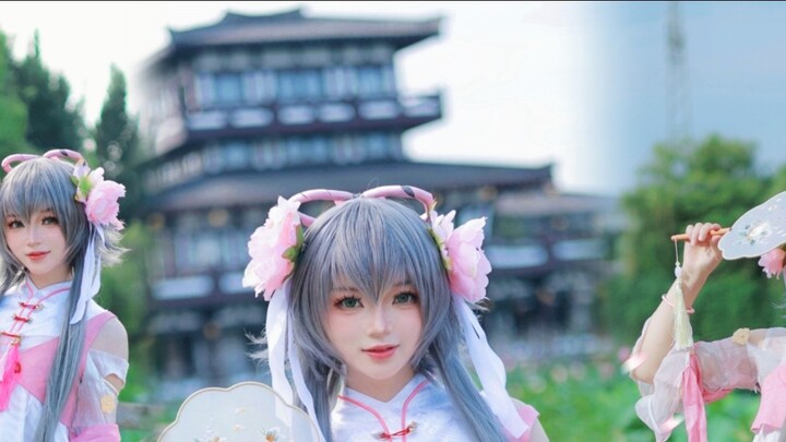 There are such comfortable card points and cute things ❀One Flower Relies on the World❀Dance Pure En