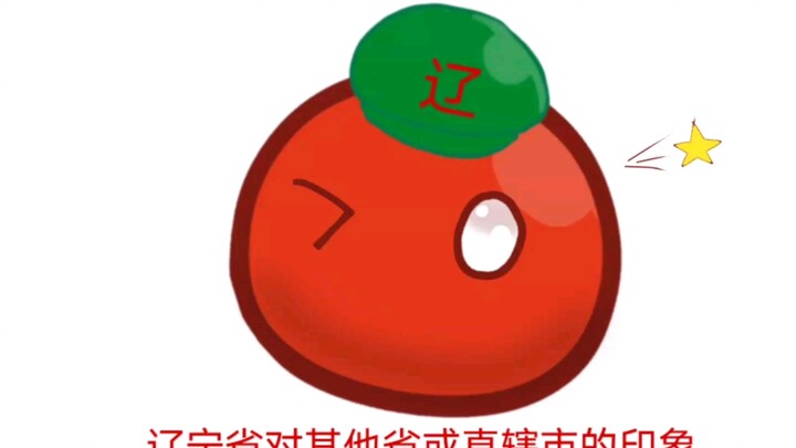 《波兰球》：辽宁省对其他省或直辖市的刻板印象