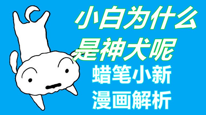 Mengapa Xiaobai adalah anjing dewa? Analisis komik "Crayon Shin-chan".
