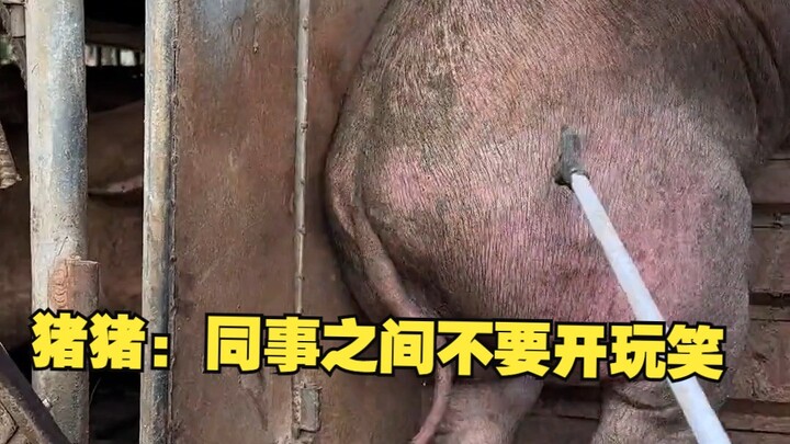 Zhu Zhu: Don’t joke around with your coworkers.