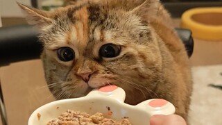 你让我吃一口嘛，就一口