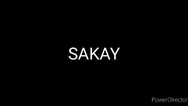 Sakay 1993