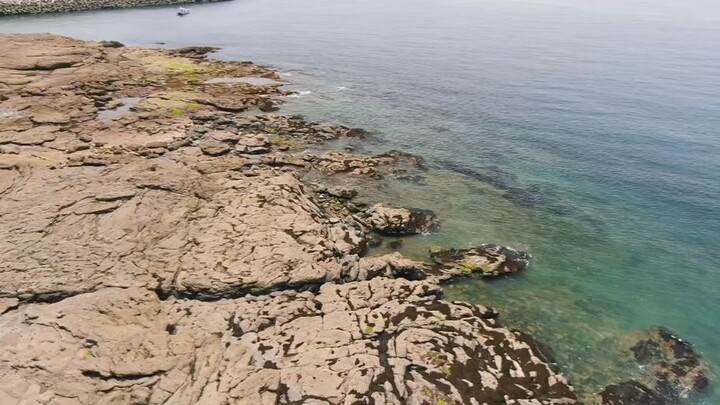 korean movie ( 2037 )