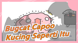 [Bugcat Capoo] Kamu Mau Kucing Seperti Itu