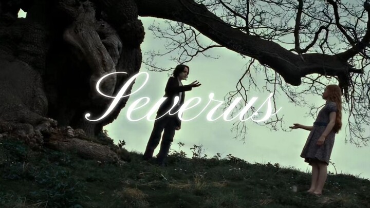 【Sili】 Day by Day || How Much I Long for Forever ‣ I’m Still the Same, Year After Year