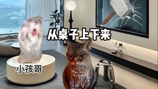 当香港小孩被带去深圳旅游