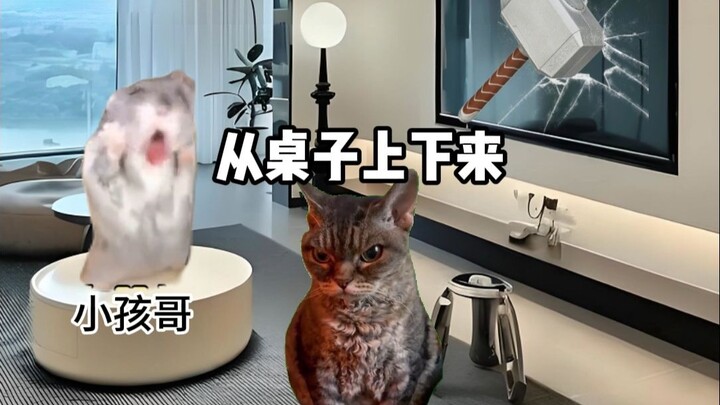 当香港小孩被带去深圳旅游