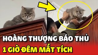 Hoàng Thượng BÁO THỦ 1 giờ đêm bắt con Sen đi tìm 😂 | Yêu Lu