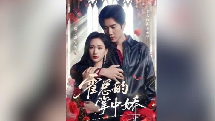 NGƯỜI TÌNH BÉ NHỎ CỦA HOẮC TỔNG