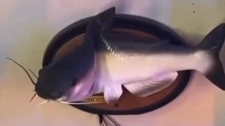 เพลงของคนพายเรือ