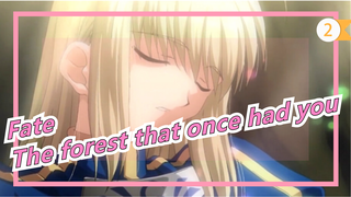 Fate|【Fate/Stay Night·MAD】The forest that once had you[Arisa]_2