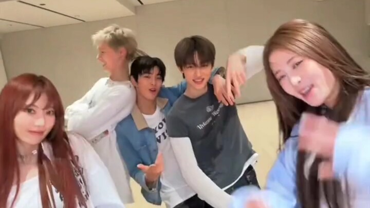 คอร์ทิส เล สีราฟิม ท้าเต้นเพลง GO➕What you want